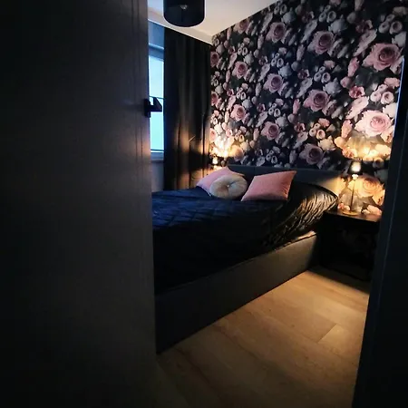 New Parking Place & Self Check In 24h Taras Miedziana * Wroclaw